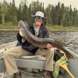 Beining-44.5-inch-Northern-scaled